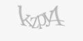 Защитный код